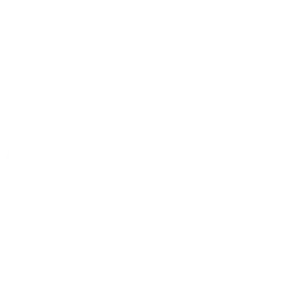 Course