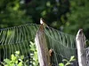 img_2267